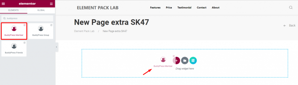 inserting the BuddyPress Member widget