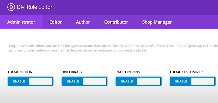 Divi user role - BdThemes