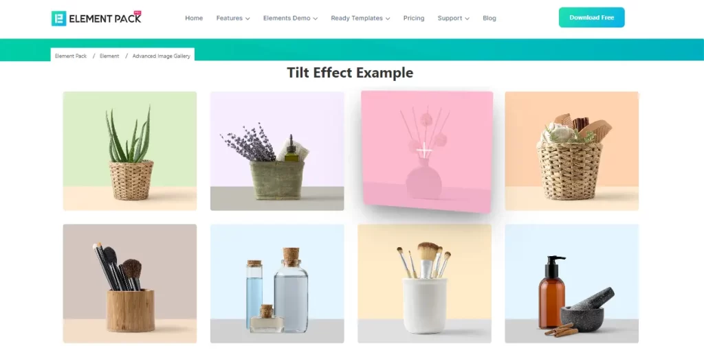 Element Pack addon gallery widget