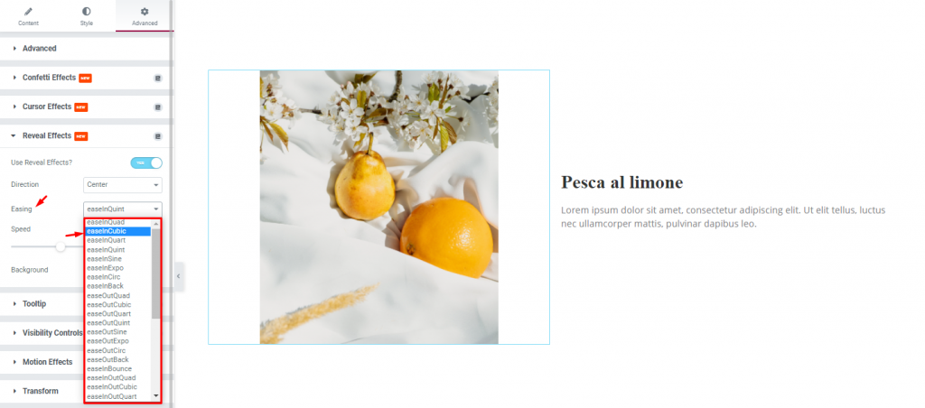 Reveal Effects doc 5 - BdThemes