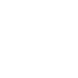 +880 1700 55 95 95