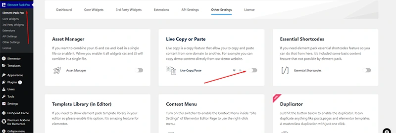 Activate Live copy paste in test website - BdThemes