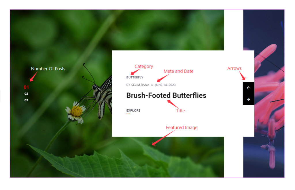 Default view of snog slider - BdThemes