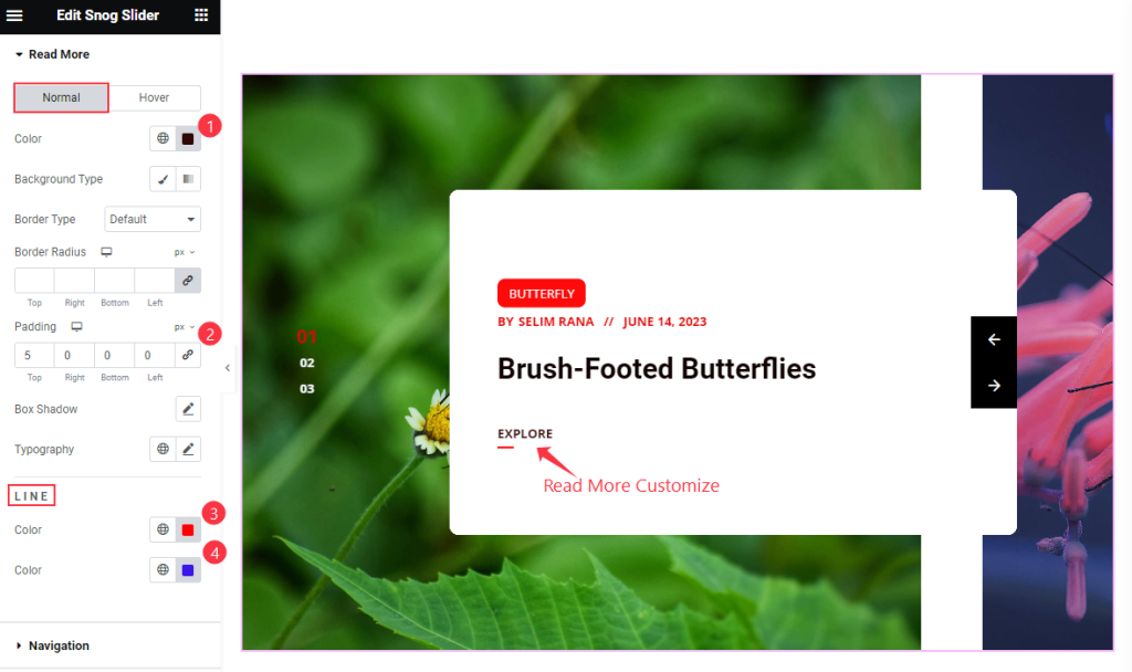 Read More - BdThemes