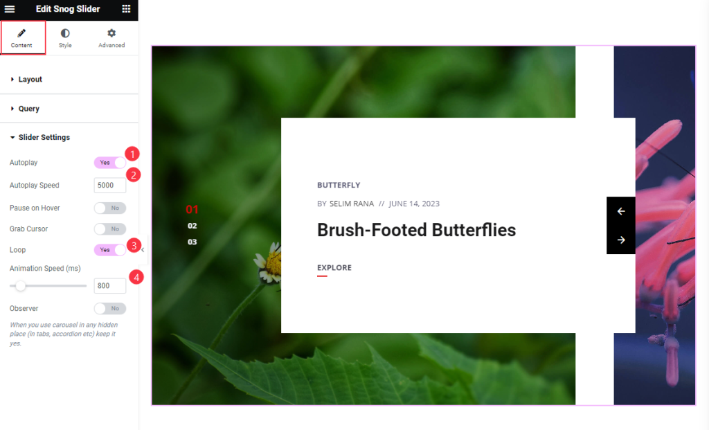 Slider Settings 8 - BdThemes