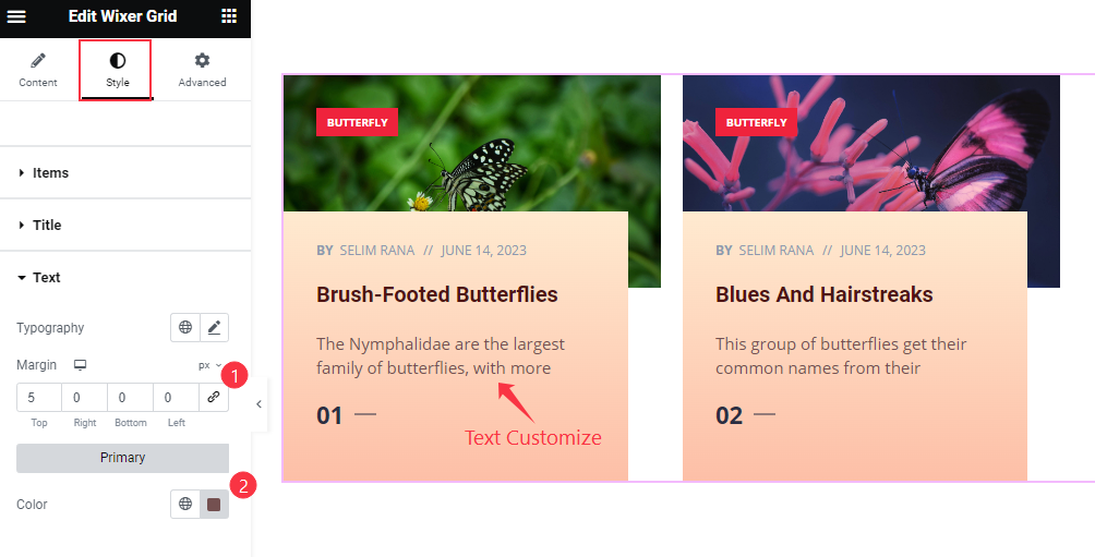 Text 5 - BdThemes