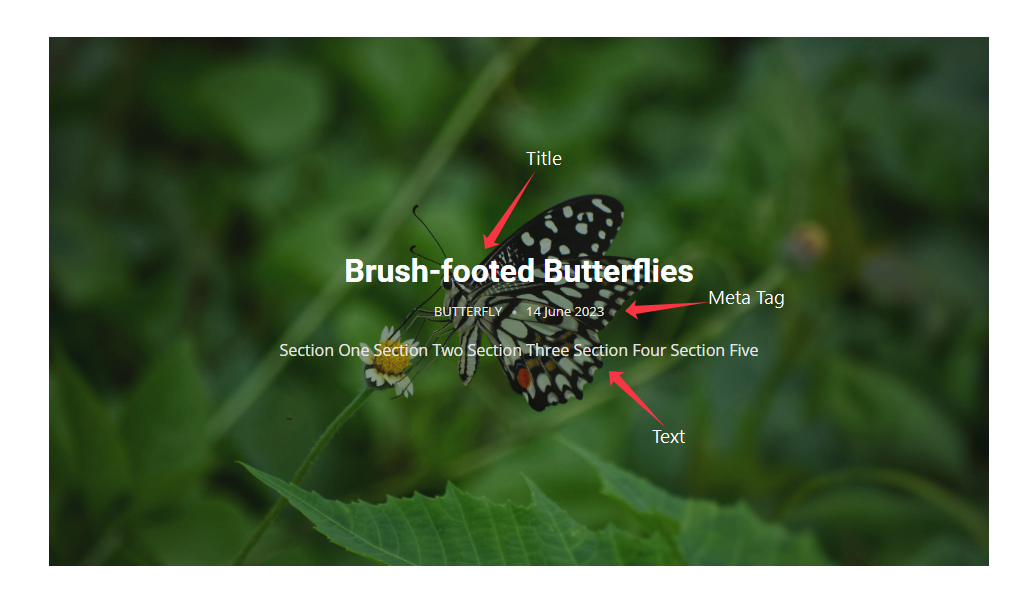 Default view of Single Post - BdThemes