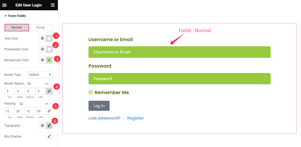 Form Fields Normal 2 - BdThemes