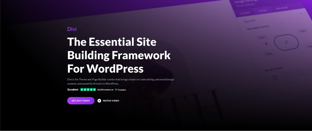 best wordpress plugin - DIVI