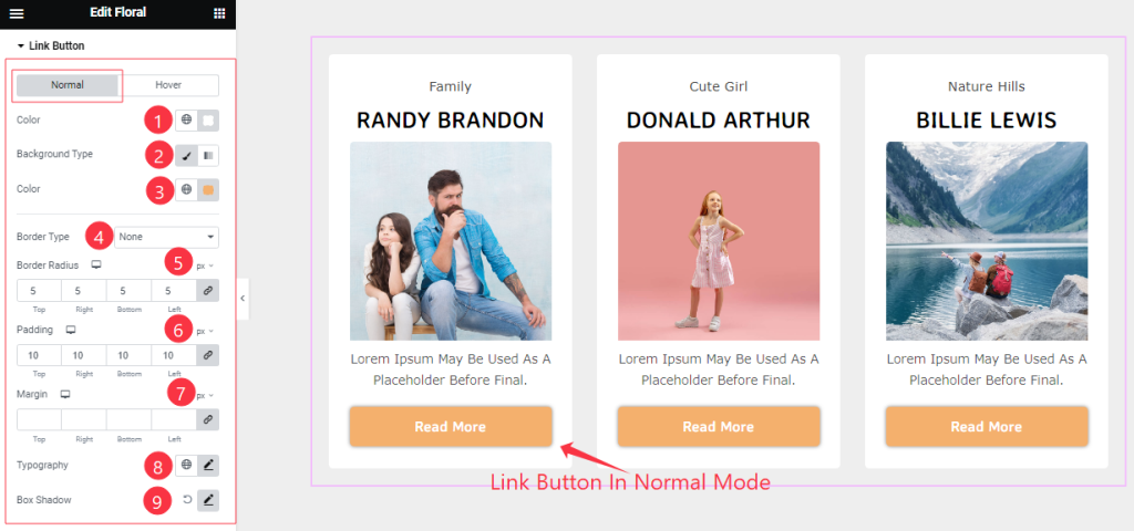 Link Button - BdThemes