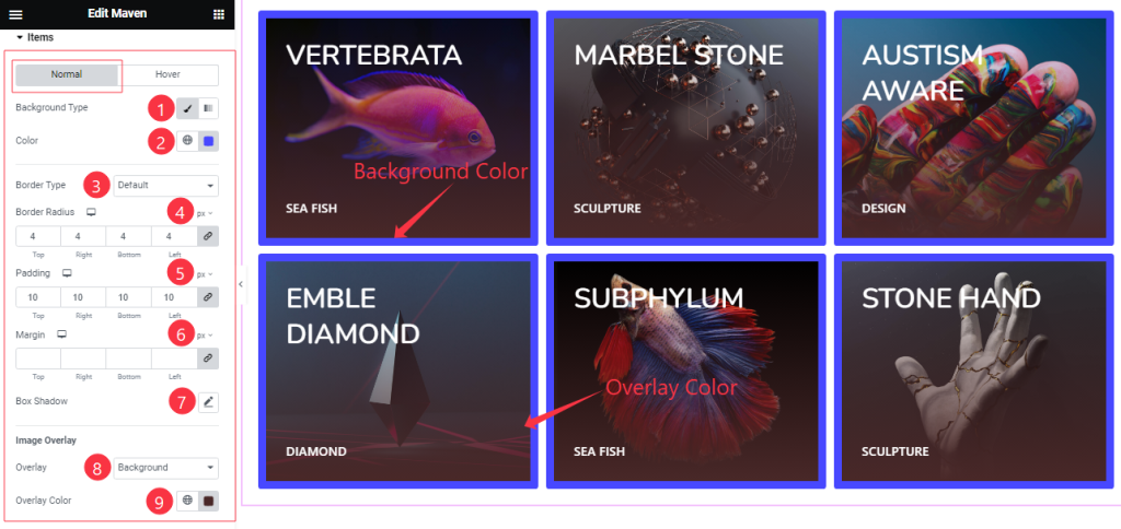 S.items1 4 - BdThemes