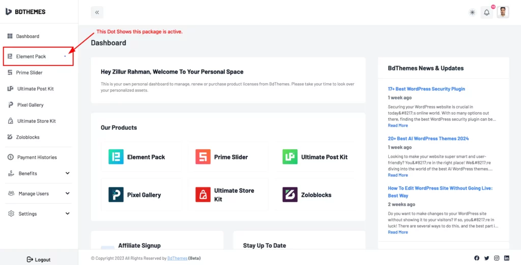 Element Pack shows here 1 - BdThemes