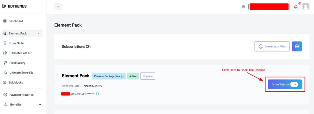 active website 1 - BdThemes