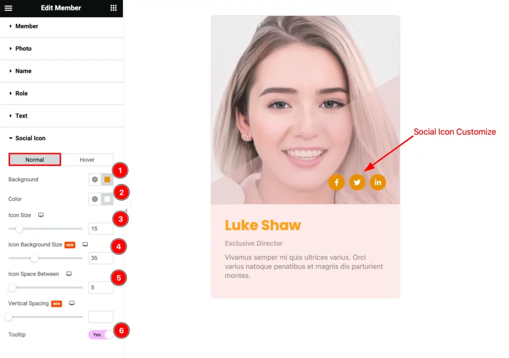 Social Icon - BdThemes