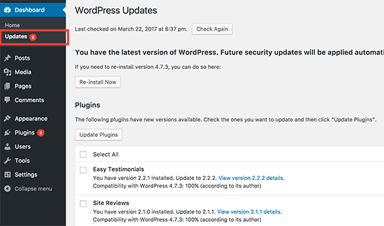Updating Installed Plugins on a WordPress website