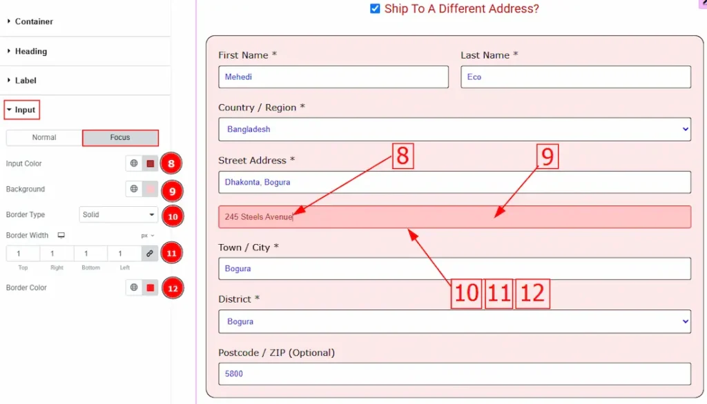 Input Focus - BdThemes
