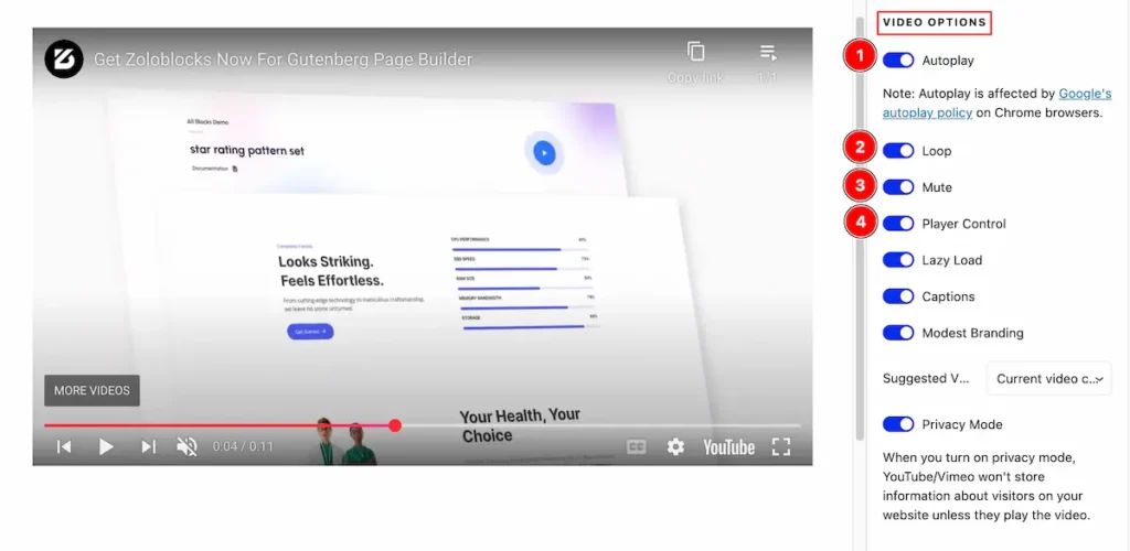 video options - BdThemes