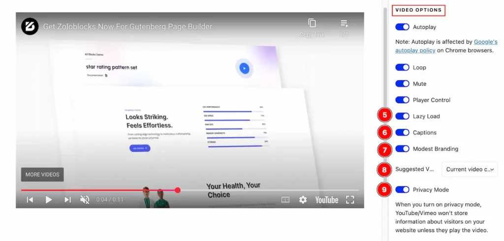 video options 2 - BdThemes