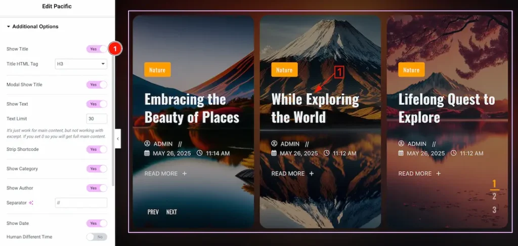 Additional Options Section