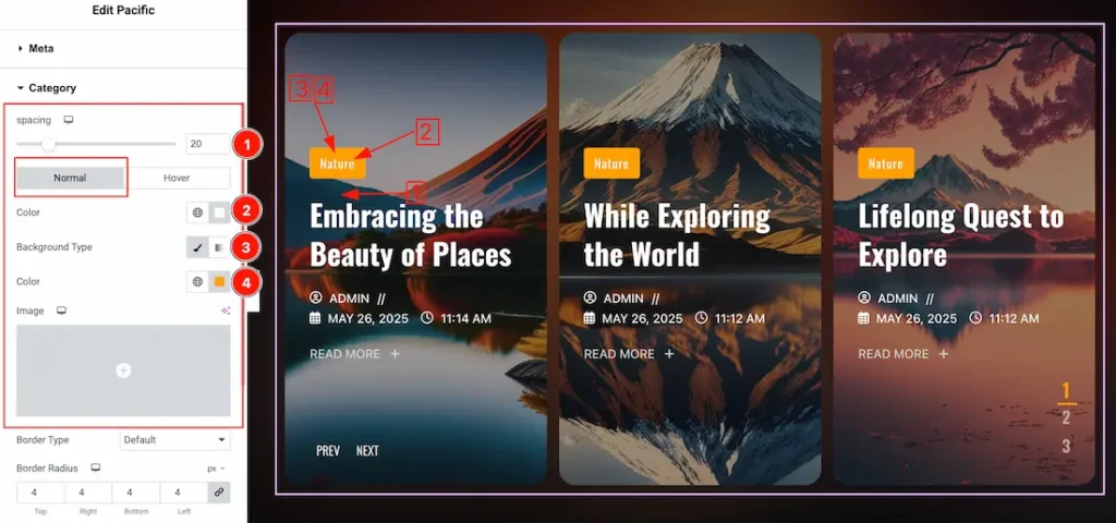 Category Section