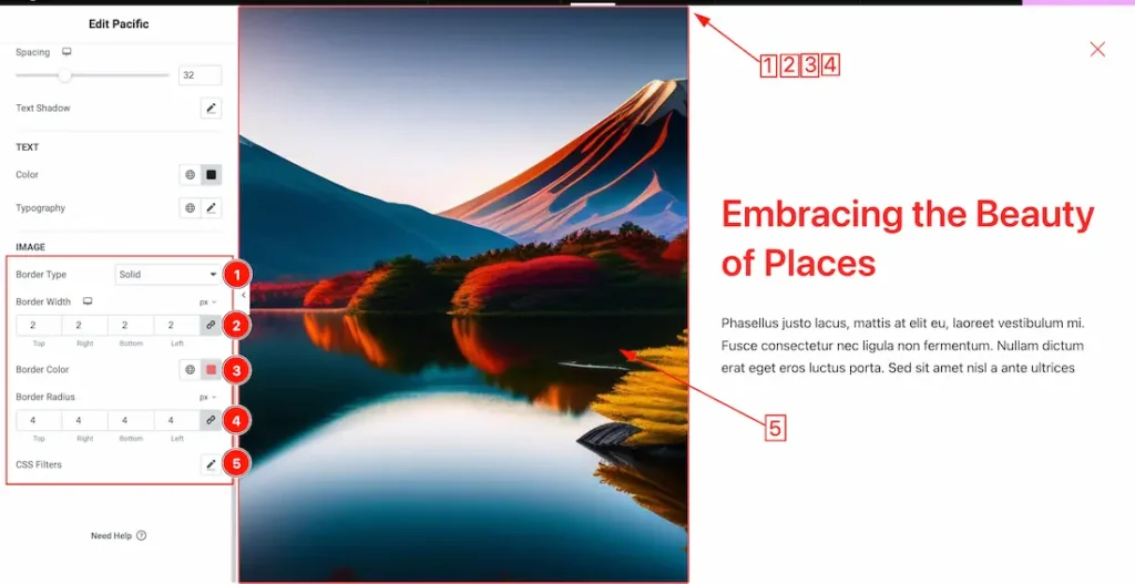 Image Sub Section