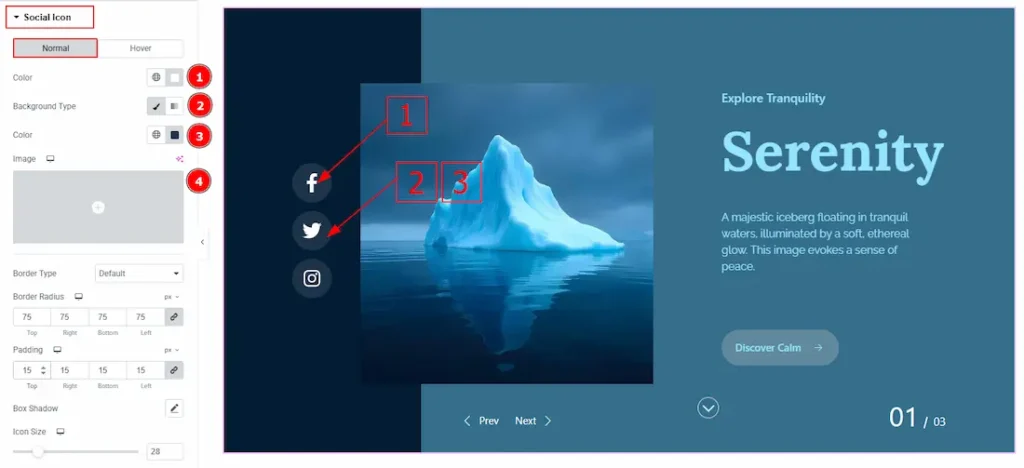 Social Icon Section