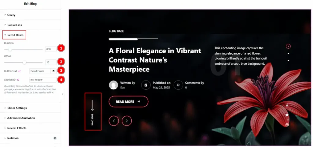 Scroll Down Section