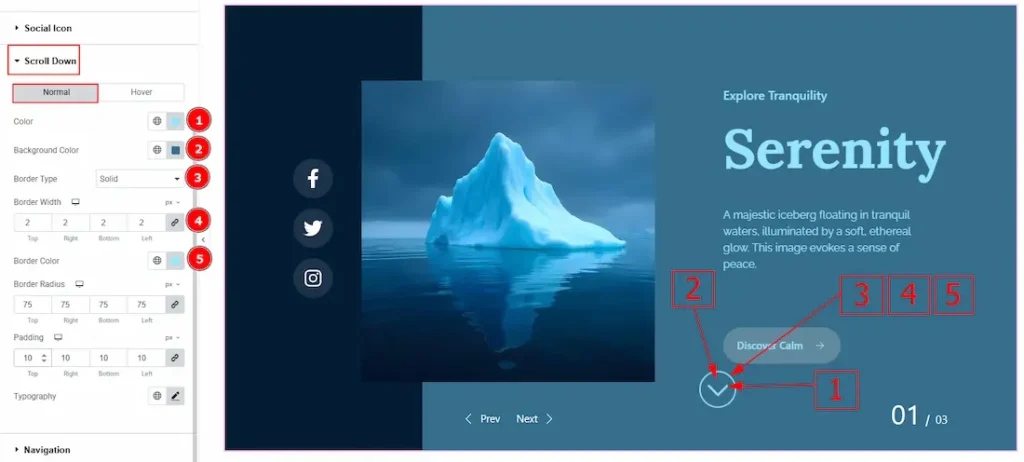 Scroll Down Section