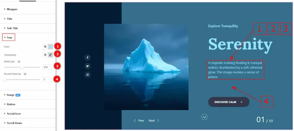 Text Section