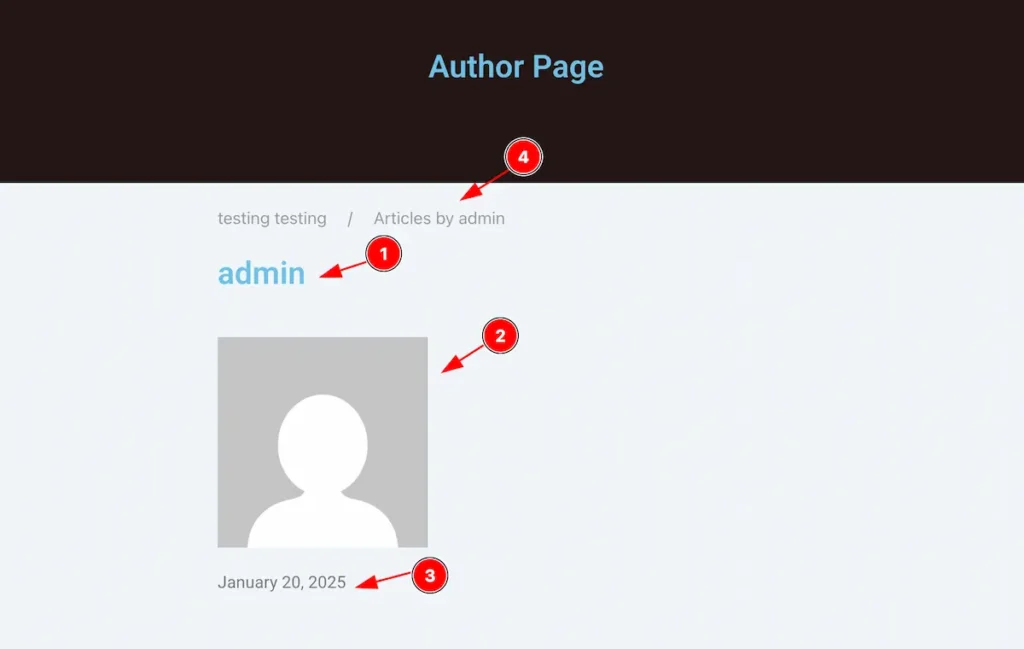 viewed author - BdThemes