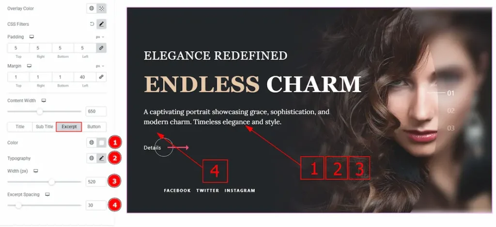 Excerpt Tab