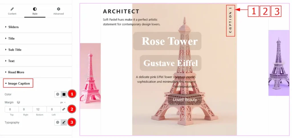 Image Caption Section