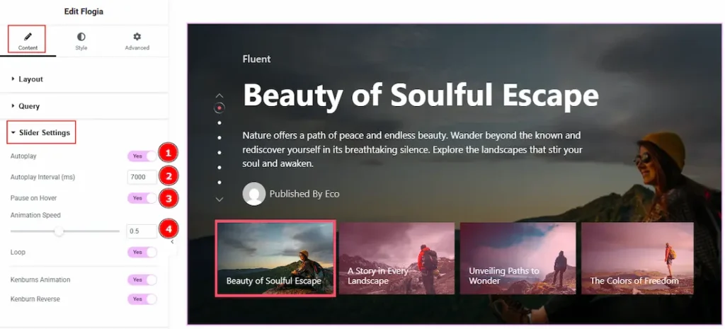 Slider Settings Section