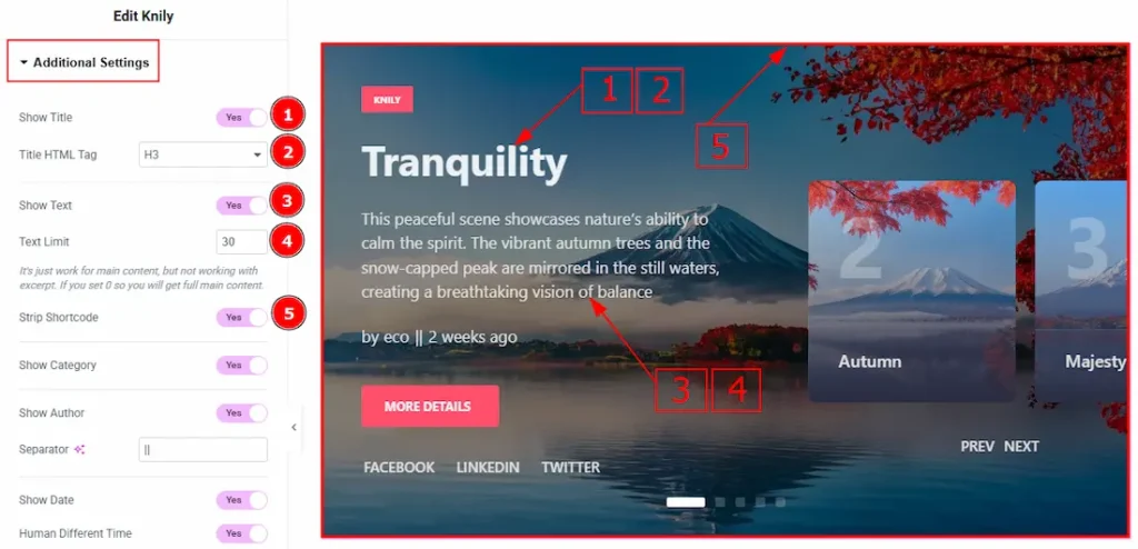 Additional Settings Section