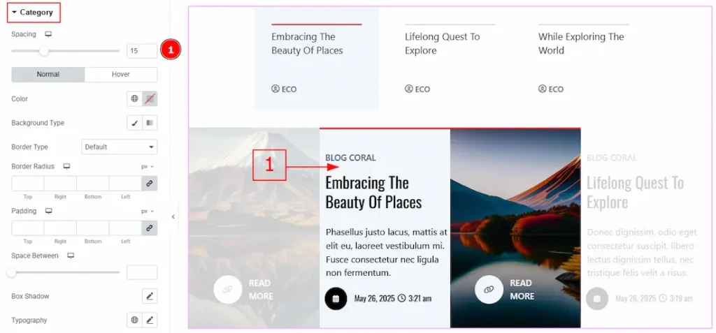 Category Section