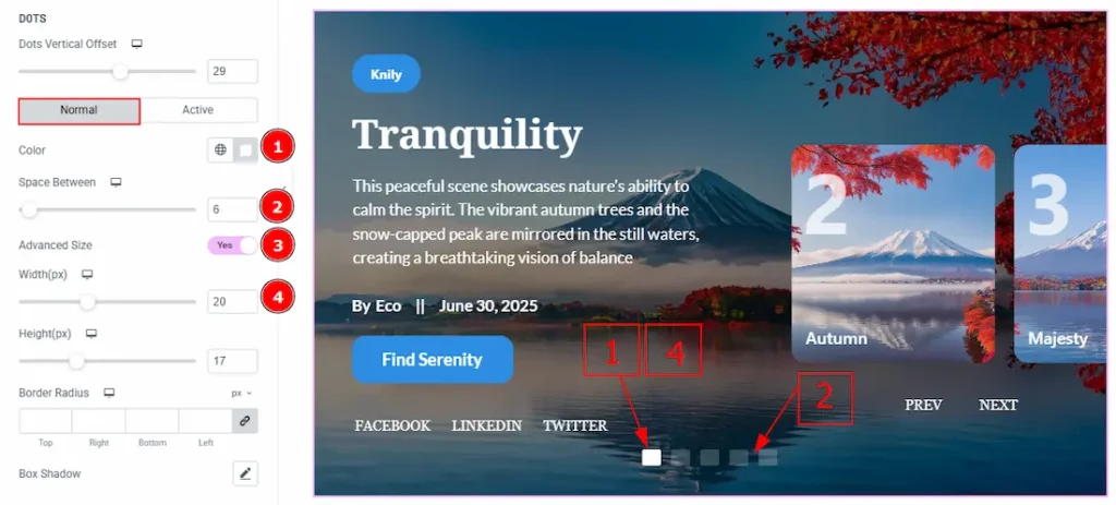 Navigation Dots Normal - BdThemes