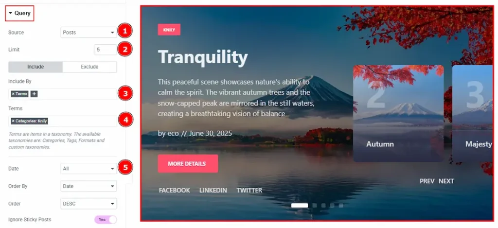 Query Section