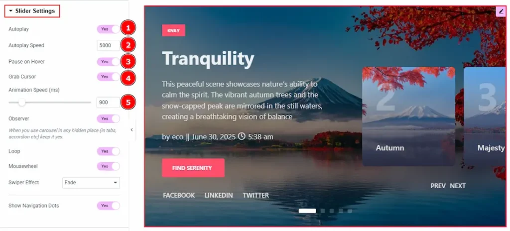 Slider Settings Section