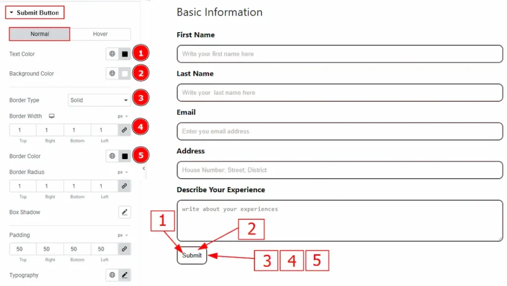 Submit Button Section
