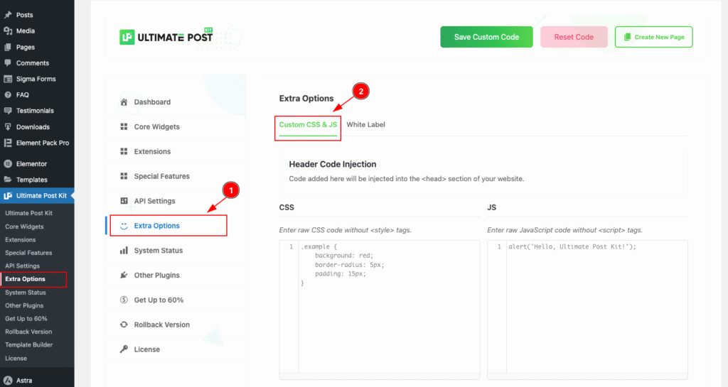 CUSTOM CSS AND JS