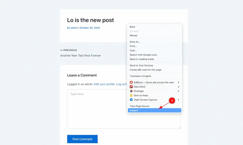 Check the Post 6 inspect - BdThemes
