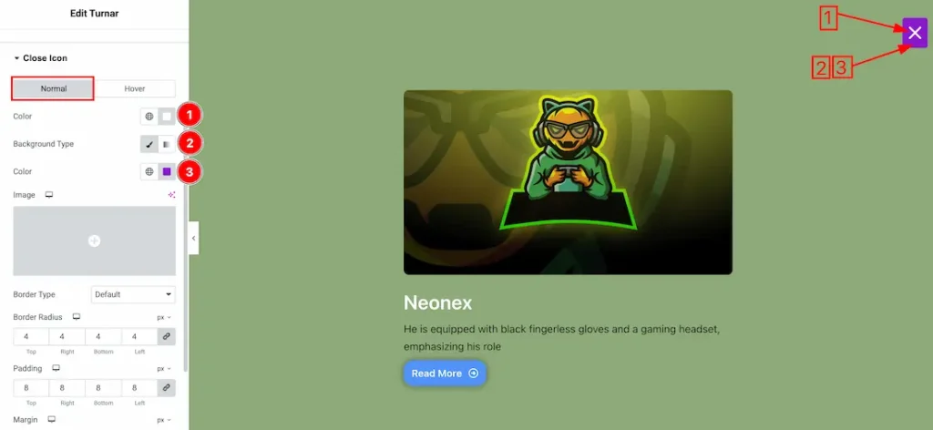 Close Icon Section