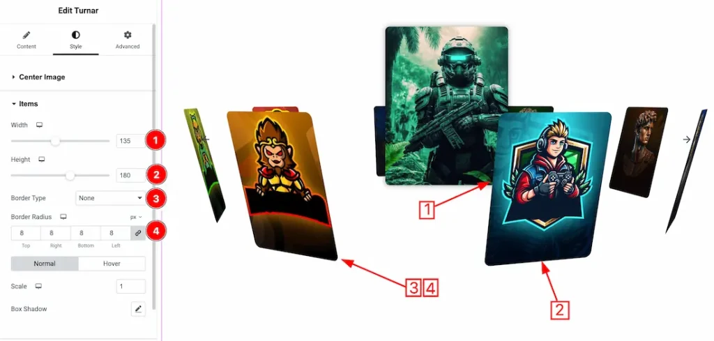 Items Section