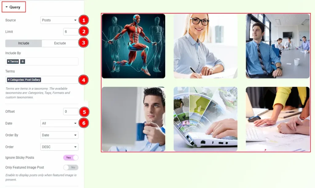 Query Section
