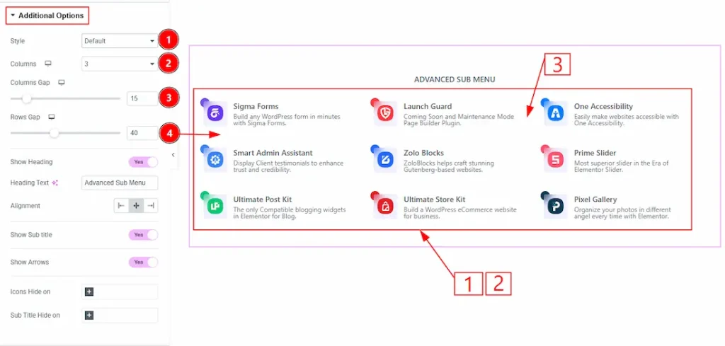 Additional Options Section