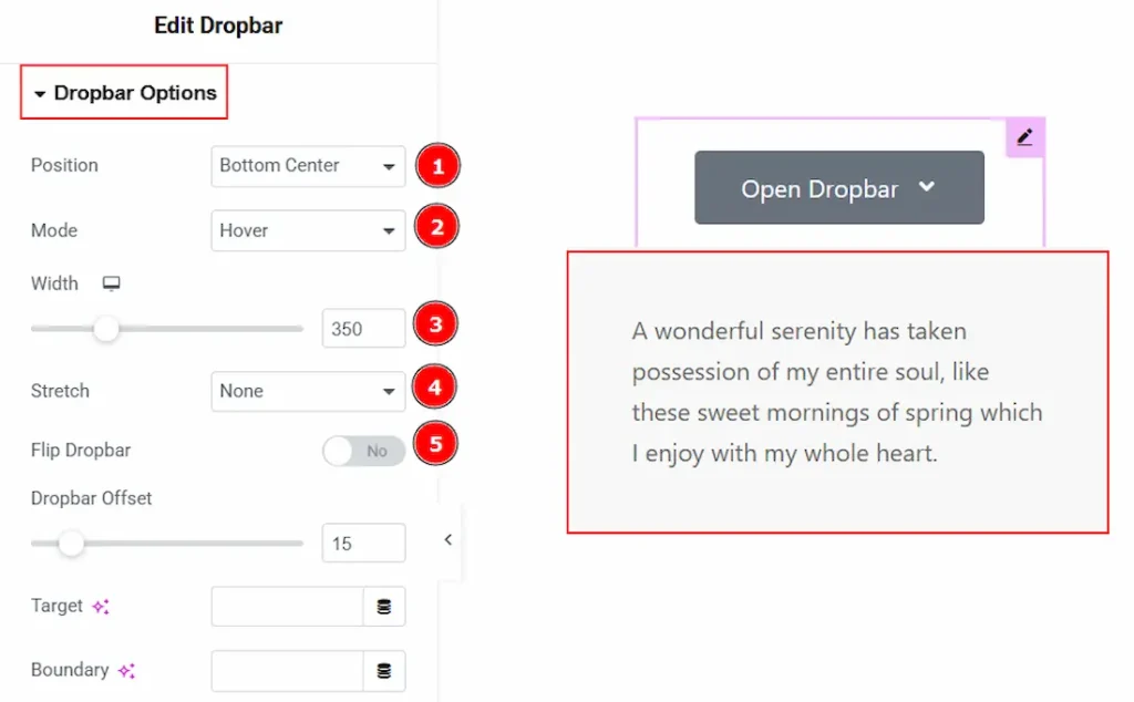 Dropbar Options Section