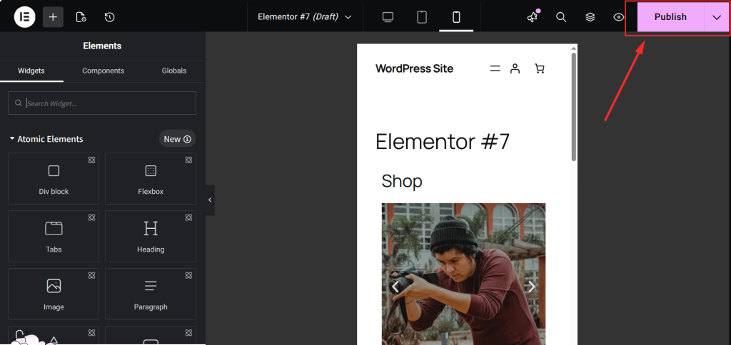 WordPress editor with publish option highlighted