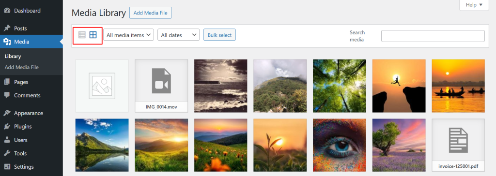 Media library interface with thumbnails